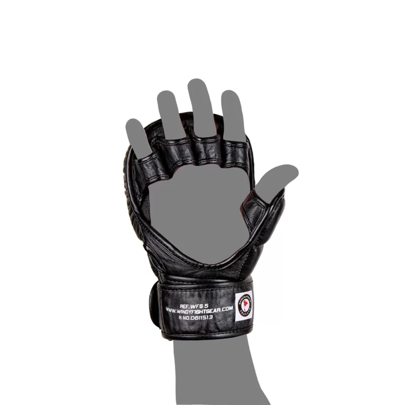 Guanti da Sparring Windy MMA Indietro
