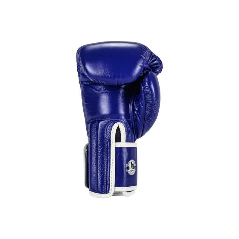 Guantoni da Boxe Blu Windy Indietro