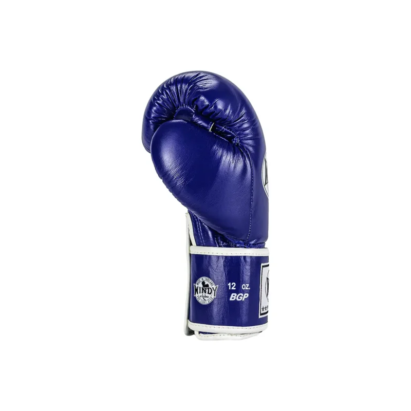 Guantoni da Boxe Blu Windy Sinistra