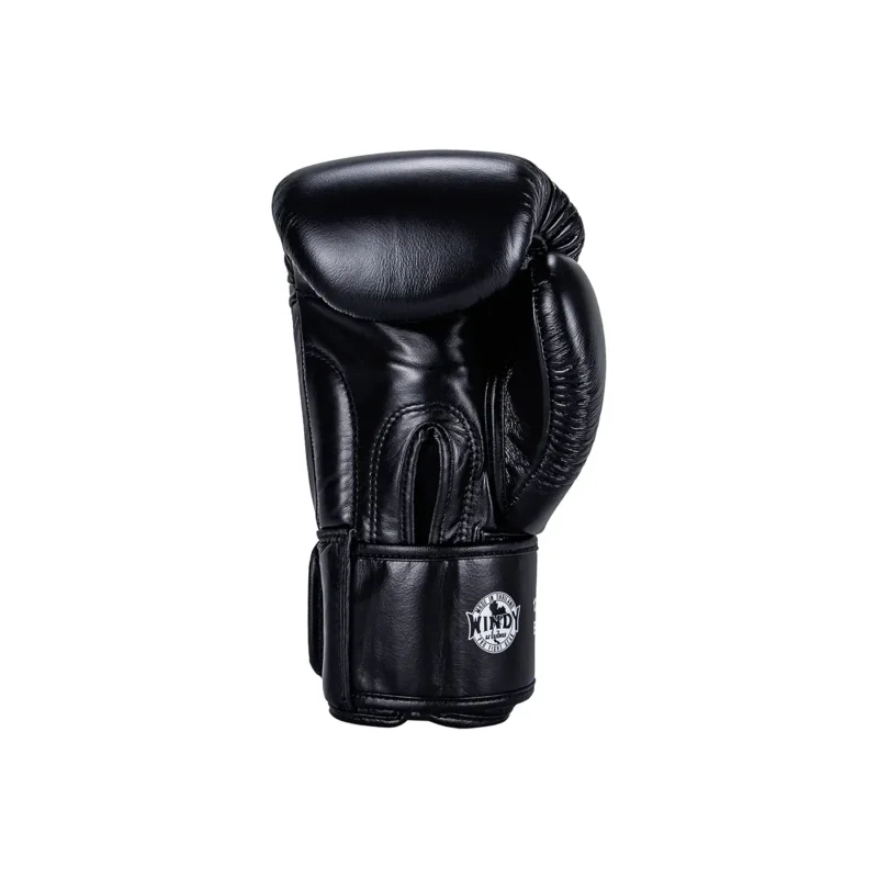 Guantoni da Boxe Nero Windy Indietro