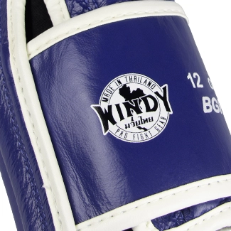 Autentici Guantoni da Boxe Blu Windy
