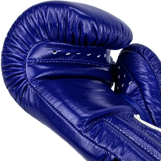 Imbottitura Guantoni da Boxe Blu Windy