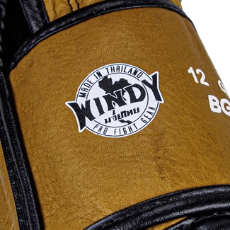 Autentici Guantoni da Boxe Windy Proline