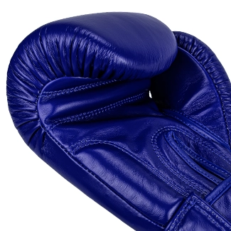 Imbottitura Guantoni da Boxe Blu Windy