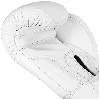 Imbottitura Guantoni da Boxe Bianchi Windy