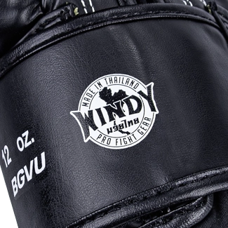 Autentici Guantoni da Boxe Windy da Allenamento