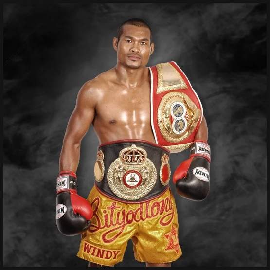 Windy Boxe Bandiera di categoria