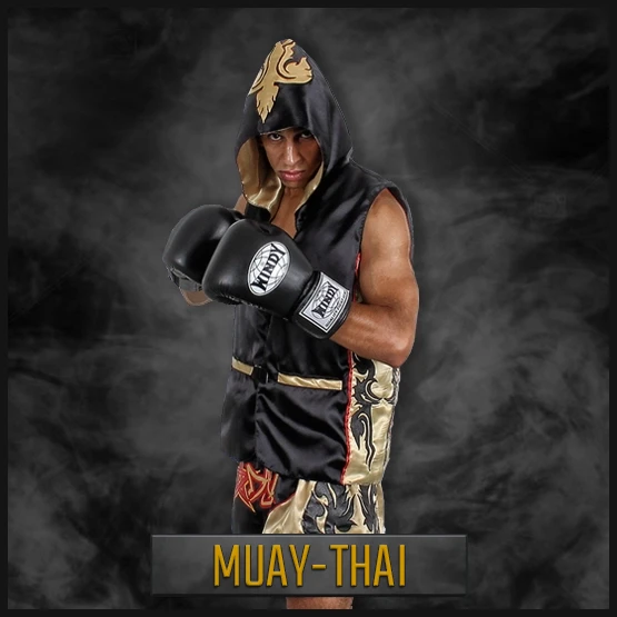 Windy Muay Thai Banner di categoria per dispositivi mobili